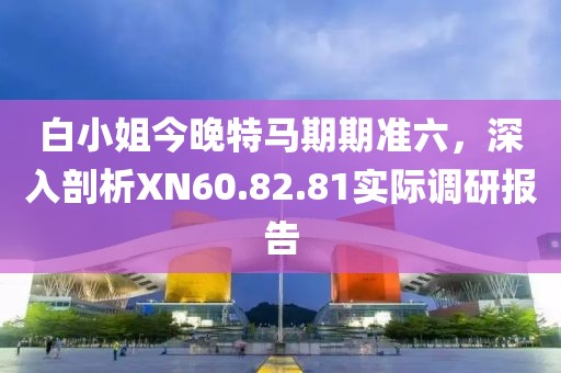 白小姐今晚特馬期期準(zhǔn)六，深入剖析XN60.82.81實(shí)際調(diào)研報(bào)告