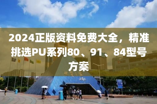 2024正版資料免費(fèi)大全，精準(zhǔn)挑選PU系列80、91、84型號方案