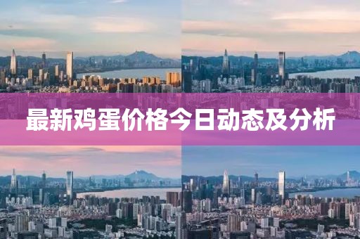 最新雞蛋價(jià)格今日動(dòng)態(tài)及分析