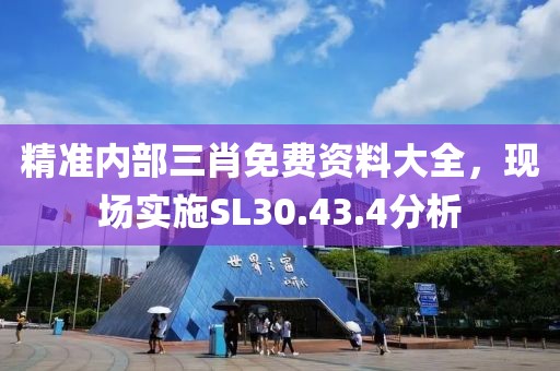 精準內部三肖免費資料大全，現(xiàn)場實施SL30.43.4分析