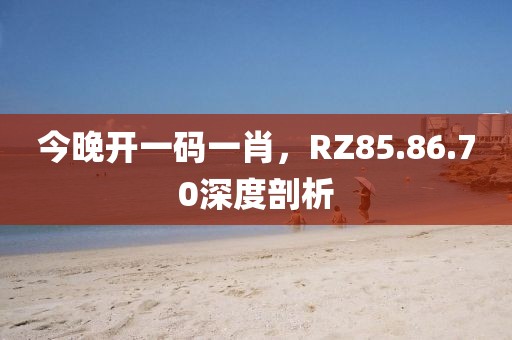 今晚開一碼一肖，RZ85.86.70深度剖析