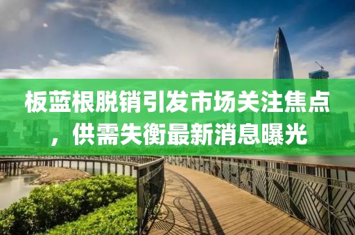 板藍根脫銷引發(fā)市場關注焦點，供需失衡最新消息曝光