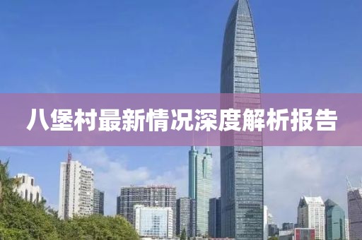 八堡村最新情況深度解析報告