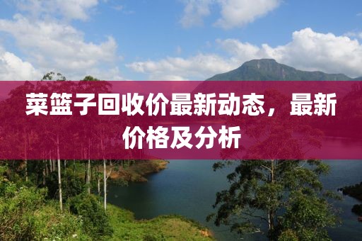 菜籃子回收價最新動態(tài)，最新價格及分析