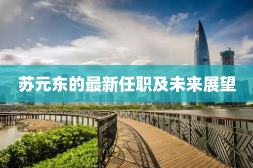 蘇元東的最新任職及未來展望