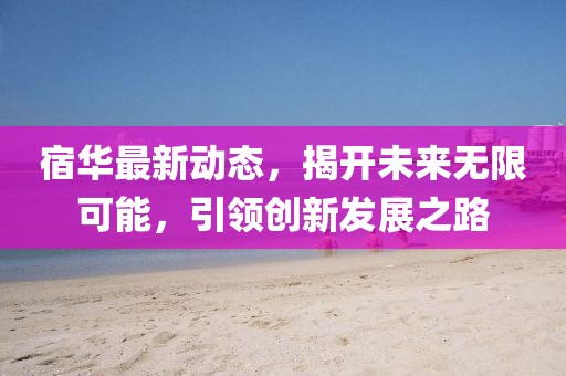 宿華最新動態(tài)，揭開未來無限可能，引領(lǐng)創(chuàng)新發(fā)展之路