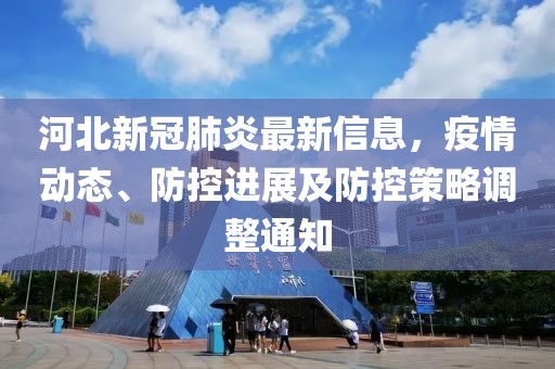 河北新冠肺炎最新信息，疫情動(dòng)態(tài)、防控進(jìn)展及防控策略調(diào)整通知