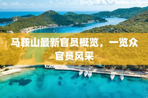 馬鞍山最新官員概覽，一覽眾官員風(fēng)采