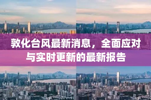 敦化臺(tái)風(fēng)最新消息，全面應(yīng)對(duì)與實(shí)時(shí)更新的最新報(bào)告