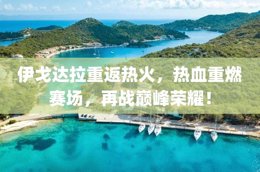 伊戈達(dá)拉重返熱火，熱血重燃賽場，再戰(zhàn)巔峰榮耀！