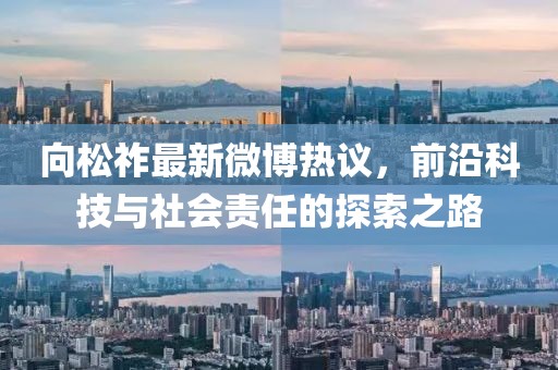 向松祚最新微博熱議，前沿科技與社會(huì)責(zé)任的探索之路
