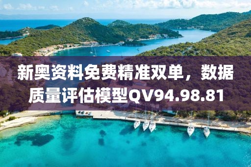 新奧資料免費精準(zhǔn)雙單，數(shù)據(jù)質(zhì)量評估模型QV94.98.81