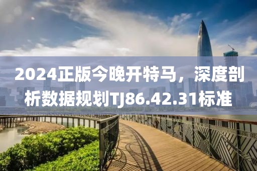 2024正版今晚開特馬，深度剖析數據規(guī)劃TJ86.42.31標準