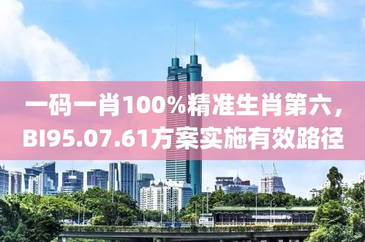 一碼一肖100%精準(zhǔn)生肖第六，BI95.07.61方案實(shí)施有效路徑