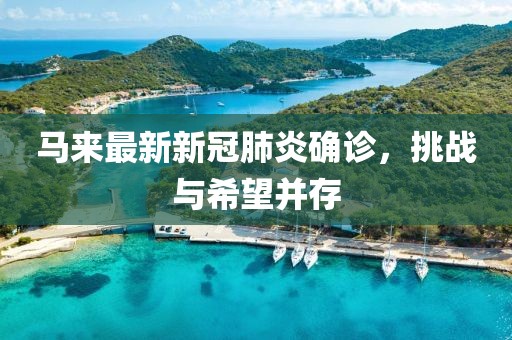 馬來(lái)最新新冠肺炎確診，挑戰(zhàn)與希望并存