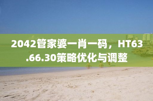 2042管家婆一肖一碼，HT63.66.30策略優(yōu)化與調(diào)整