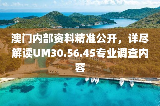 澳門內(nèi)部資料精準公開，詳盡解讀UM30.56.45專業(yè)調(diào)查內(nèi)容