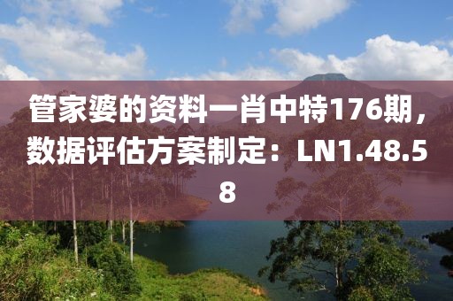 管家婆的資料一肖中特176期，數據評估方案制定：LN1.48.58