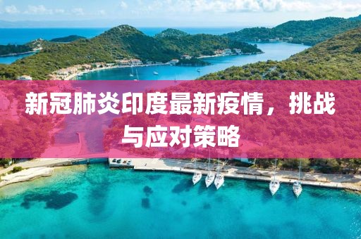 新冠肺炎印度最新疫情，挑戰(zhàn)與應(yīng)對(duì)策略