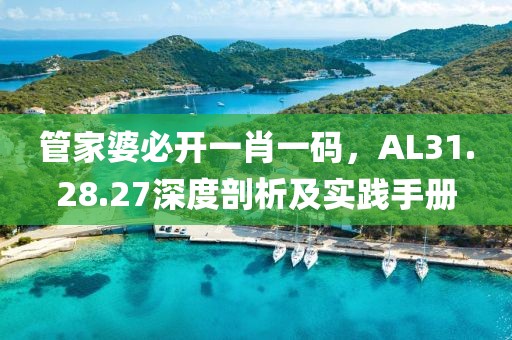 管家婆必開(kāi)一肖一碼，AL31.28.27深度剖析及實(shí)踐手冊(cè)