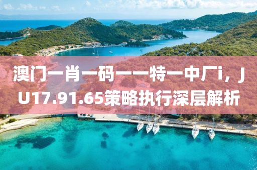 澳門一肖一碼一一特一中廠i，JU17.91.65策略執(zhí)行深層解析