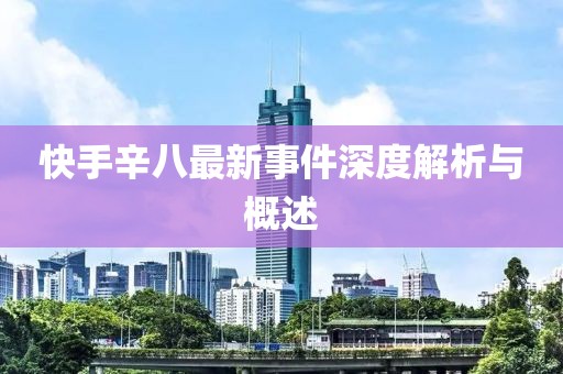 快手辛八最新事件深度解析與概述