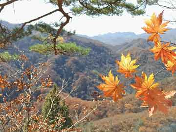 峽谷之巔新賽季最新動態(tài)深度解析與資訊概覽