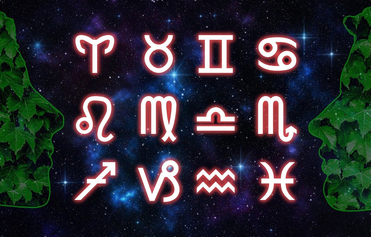 2024新澳門今天晚上開什么生肖,精準(zhǔn)洞察與實(shí)戰(zhàn)應(yīng)用，時(shí)尚系列DX9146.5345