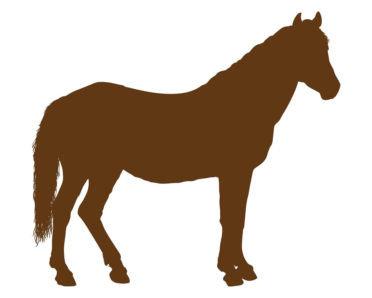 2024澳門特馬今晚開(kāi)獎(jiǎng)的背景故事,詳盡闡述，藝術(shù)視野PB369.0429