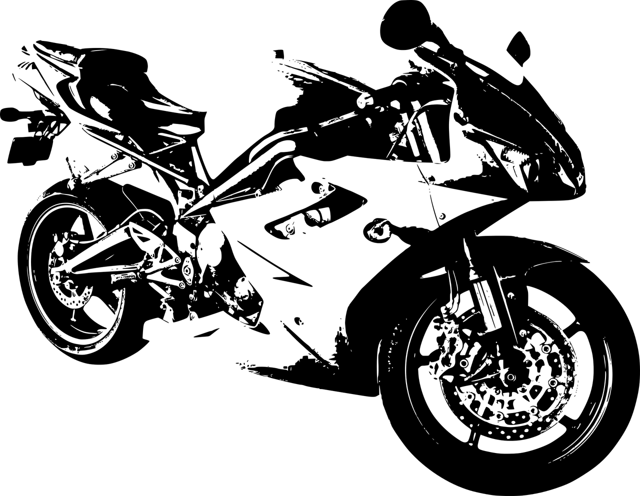 快貓咪最新動(dòng)態(tài)揭秘，探索未知世界的速度與激情