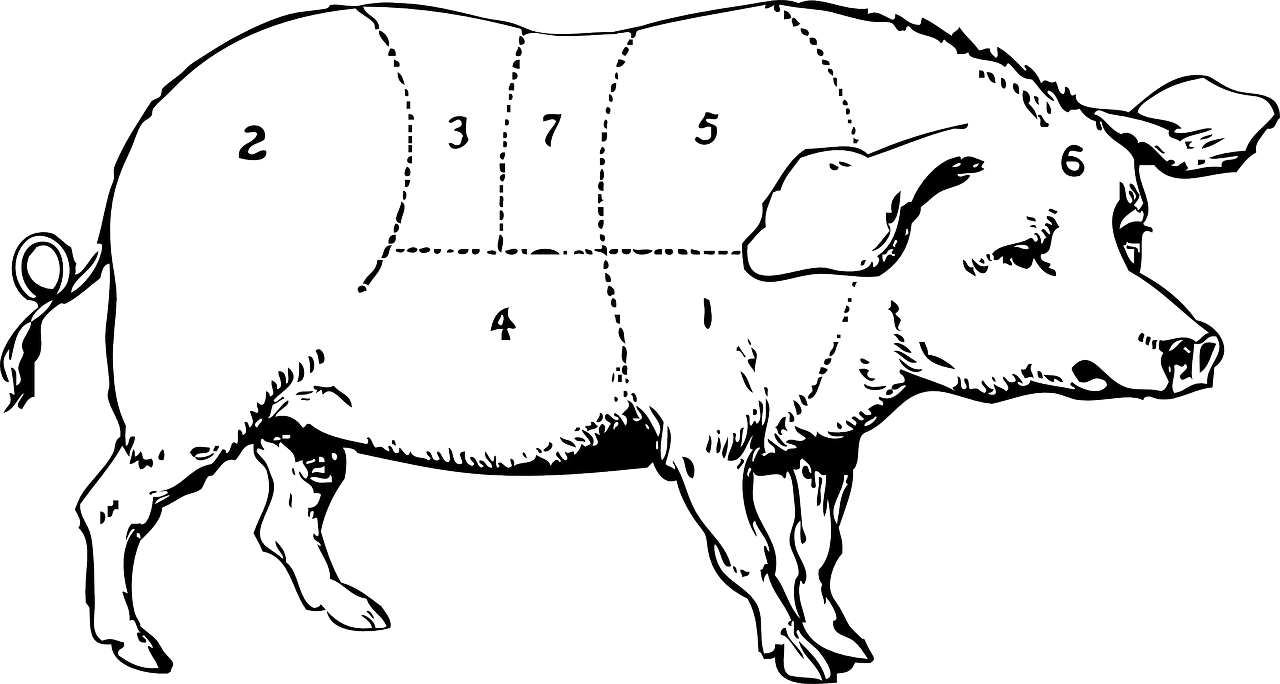 凍肉進(jìn)口最新動(dòng)態(tài)，市場(chǎng)趨勢(shì)、政策調(diào)整與產(chǎn)業(yè)動(dòng)態(tài)深度解析