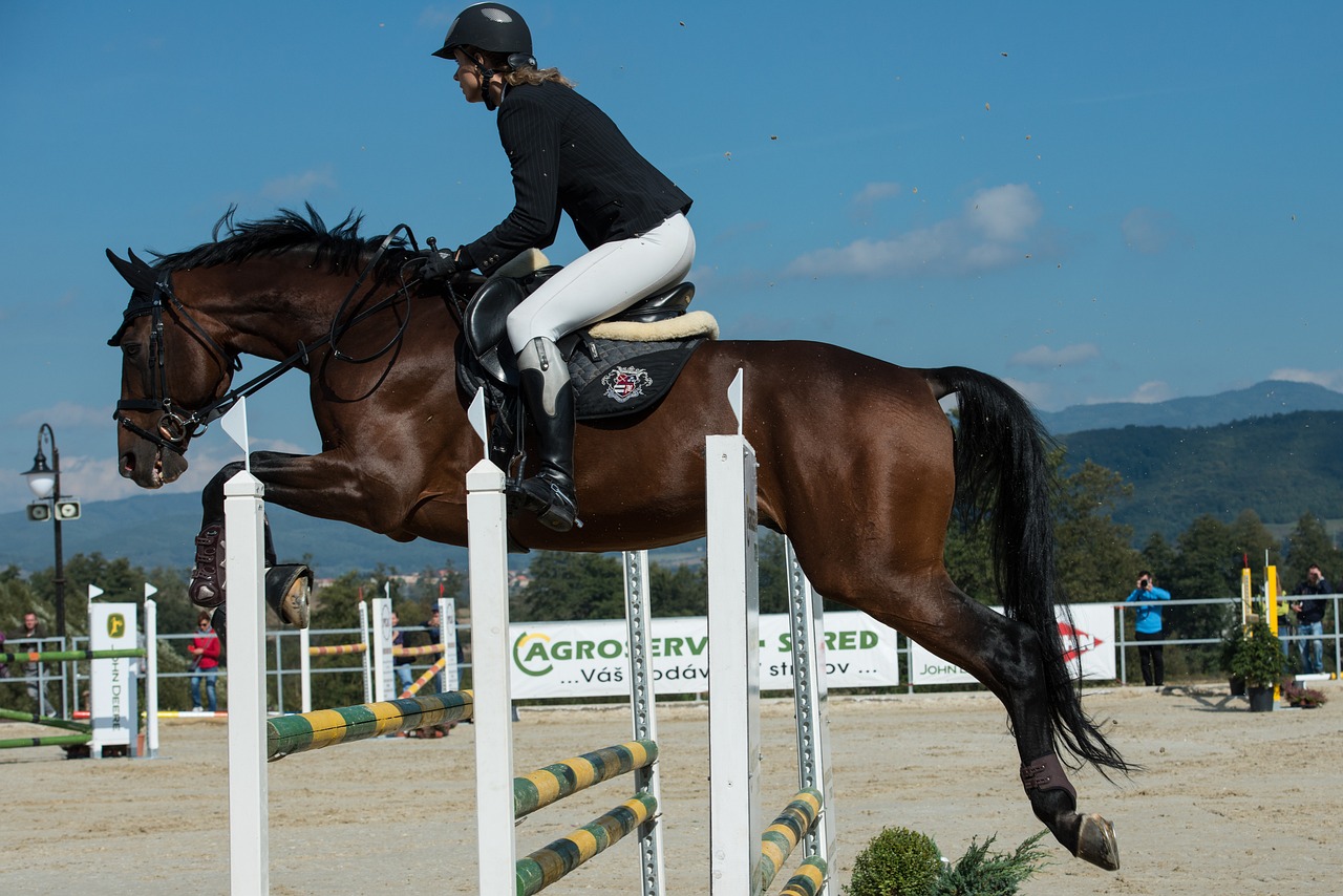 2024澳門特馬今晚開獎92期，堅貞ZFR679.541