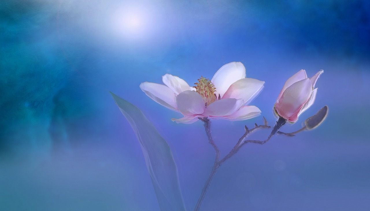 時代之聲與心靈之韻，最新詩歌朗誦主題展現(xiàn)風(fēng)采