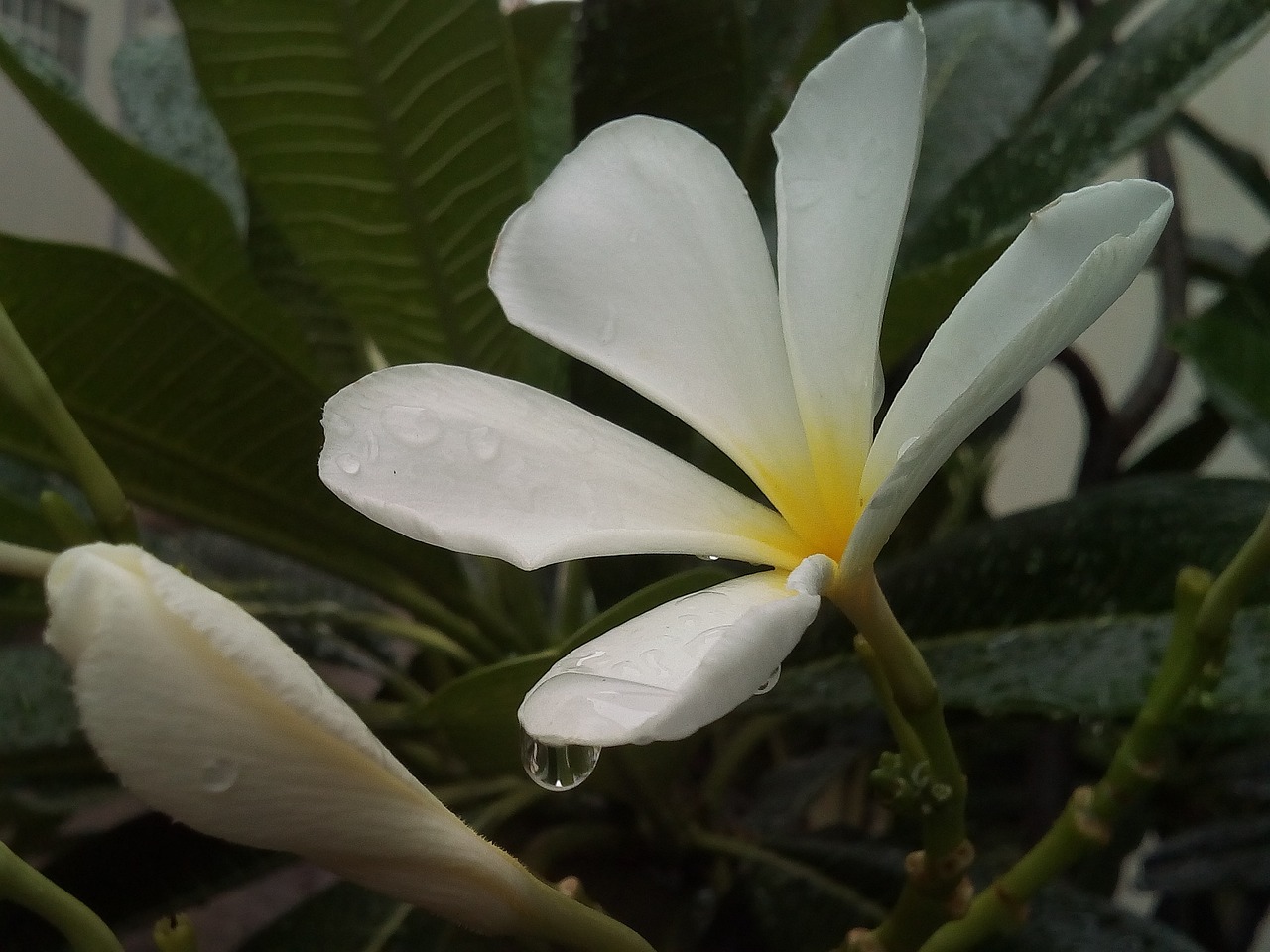 菠菜理財(cái)最新消息全面解析與更新動(dòng)態(tài)