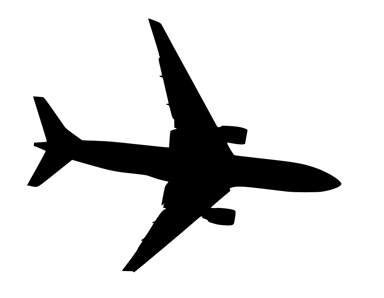 信航最新動態(tài)，引領航空業(yè)邁向新篇章
