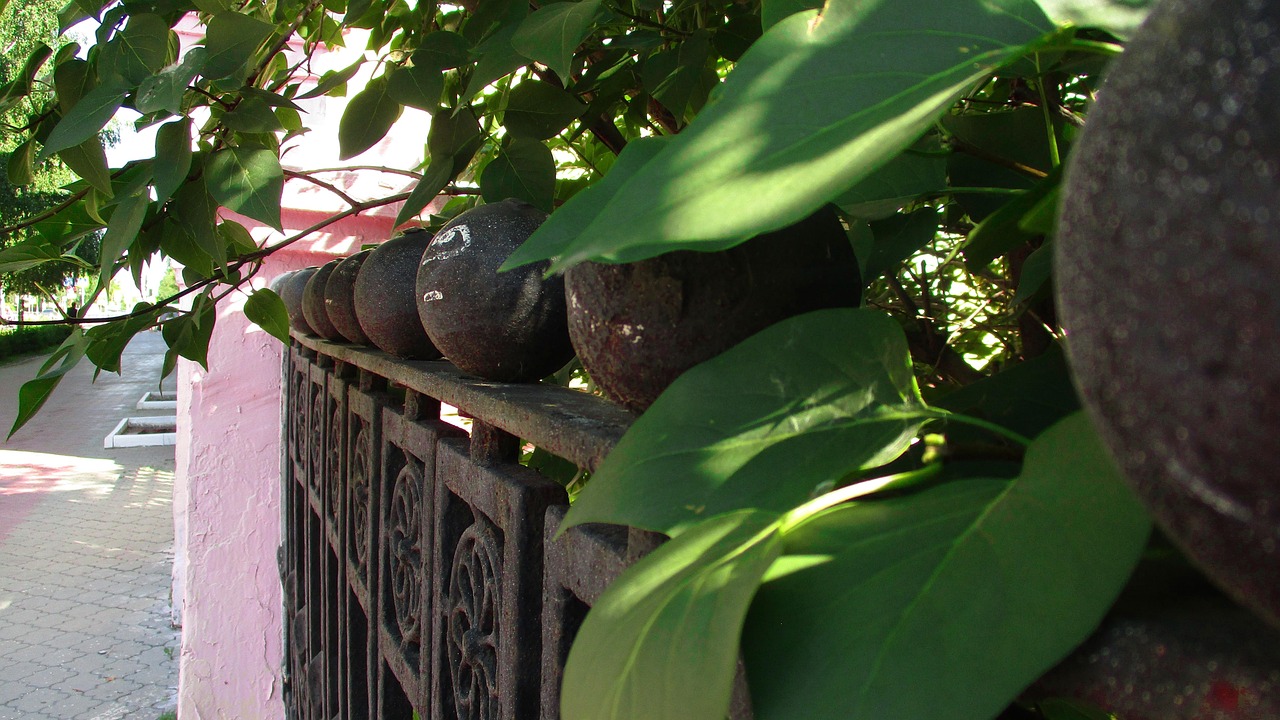 北京疫情最新動態(tài)，全面應(yīng)對，守護(hù)城市安全安全戰(zhàn)正在進(jìn)行