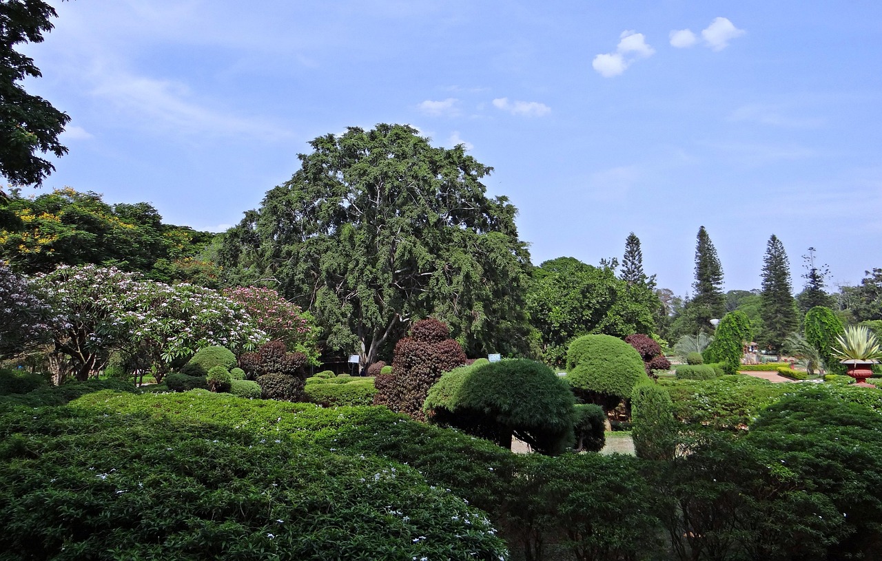 鎮(zhèn)平縣遮山鎮(zhèn)，蓬勃發(fā)展中的魅力小鎮(zhèn)新貌