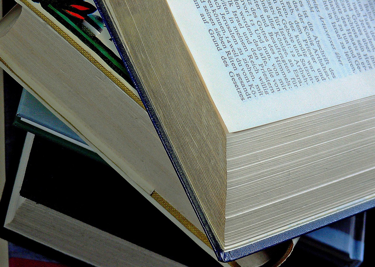 探索八上英語新版課本的魅力，最新英語教科書解析