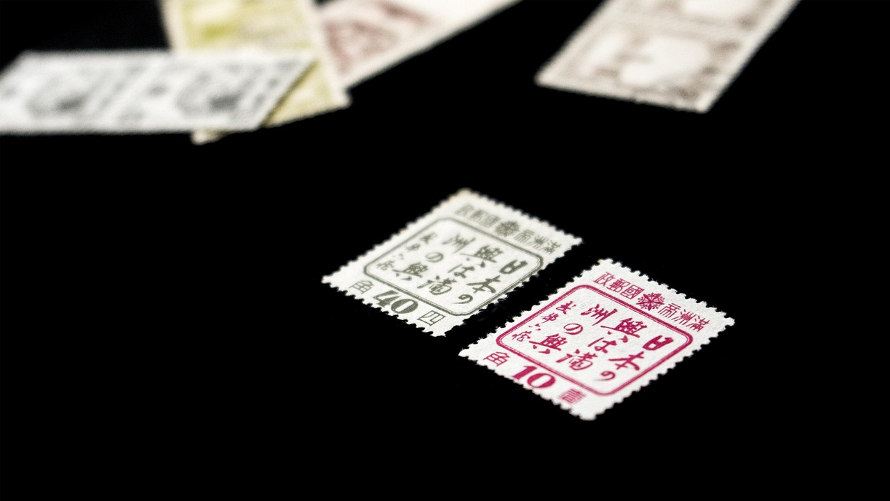 雙色球最新曬票單式，探索彩票文化的新風(fēng)尚