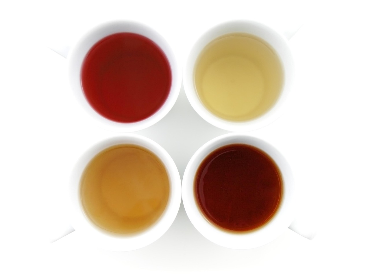 臺榮GP2最新技術革新與性能升級引領行業(yè)新潮流動態(tài)速遞