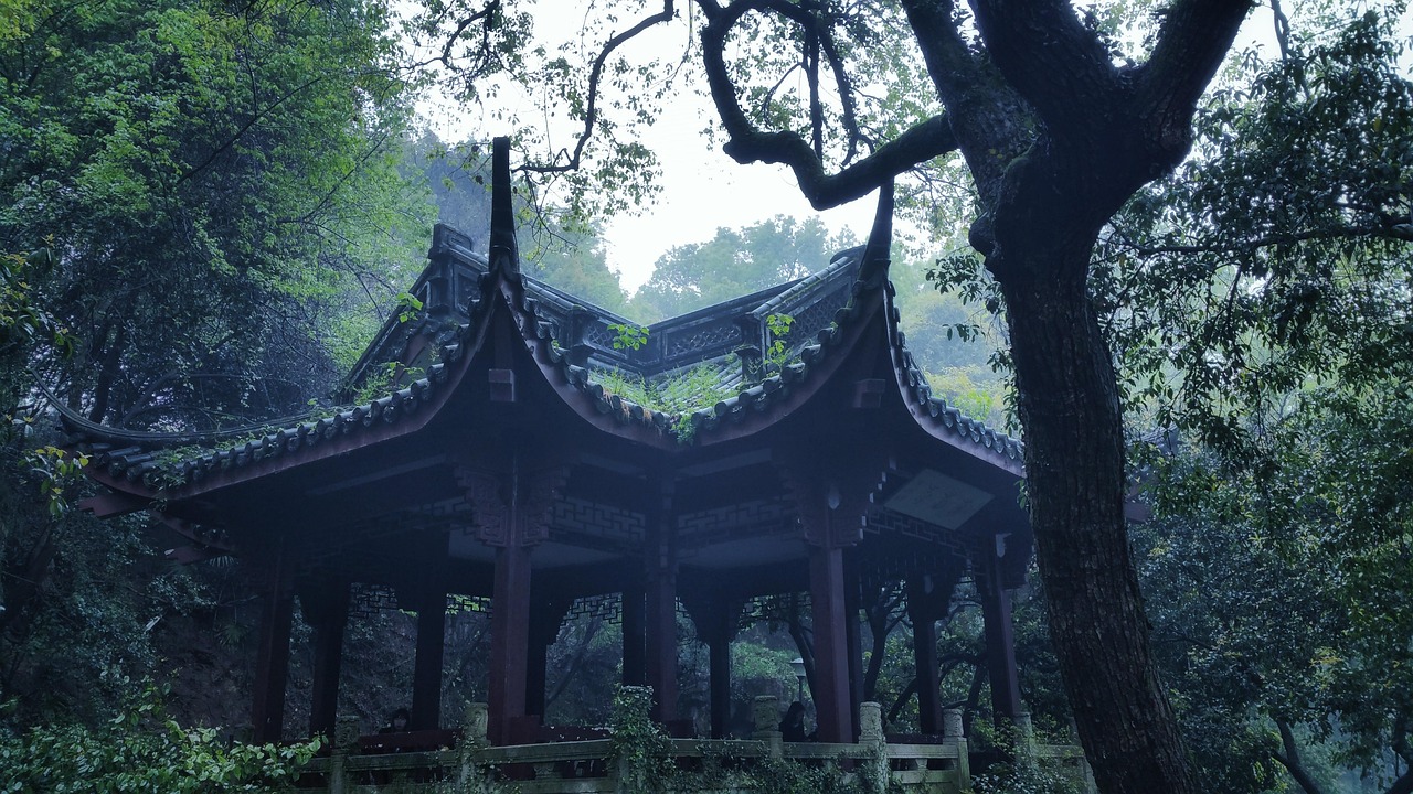 若軒 第10頁