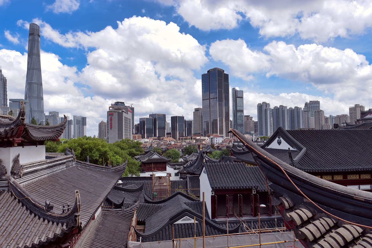 廣東最新豬價動態(tài)及市場走勢與影響因素分析