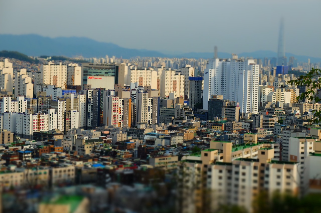 番石榴產(chǎn)業(yè)最新動(dòng)態(tài)與市場(chǎng)趨勢(shì)分析