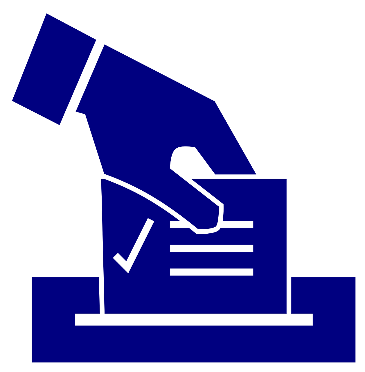 美國(guó)大選外媒最新數(shù)據(jù)分析報(bào)告揭秘投票趨勢(shì)與結(jié)果預(yù)測(cè)