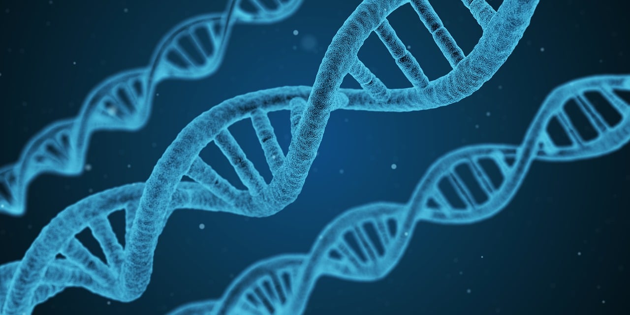 鐘南山最新疫情研究，科學(xué)應(yīng)對(duì)，共克時(shí)艱
