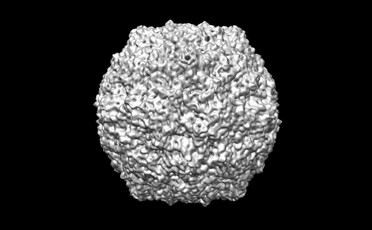 世界新冠病毒治療最新藥物研究與應(yīng)用進展