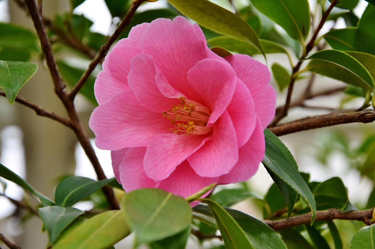 東原湖光里最新房?jī)r(jià)動(dòng)態(tài)及解析報(bào)告