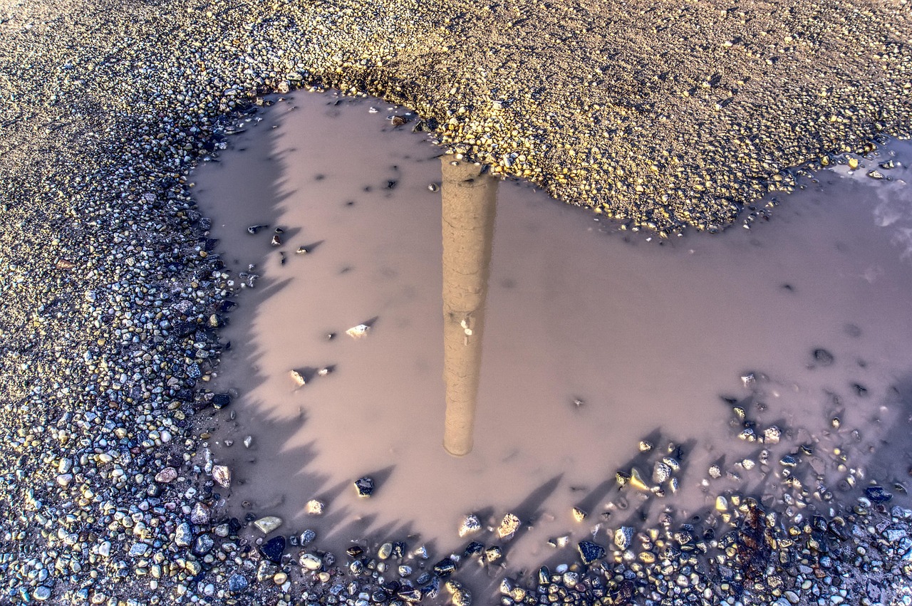 探索最新域名動態(tài)，偷偷要最新的域名是什么？