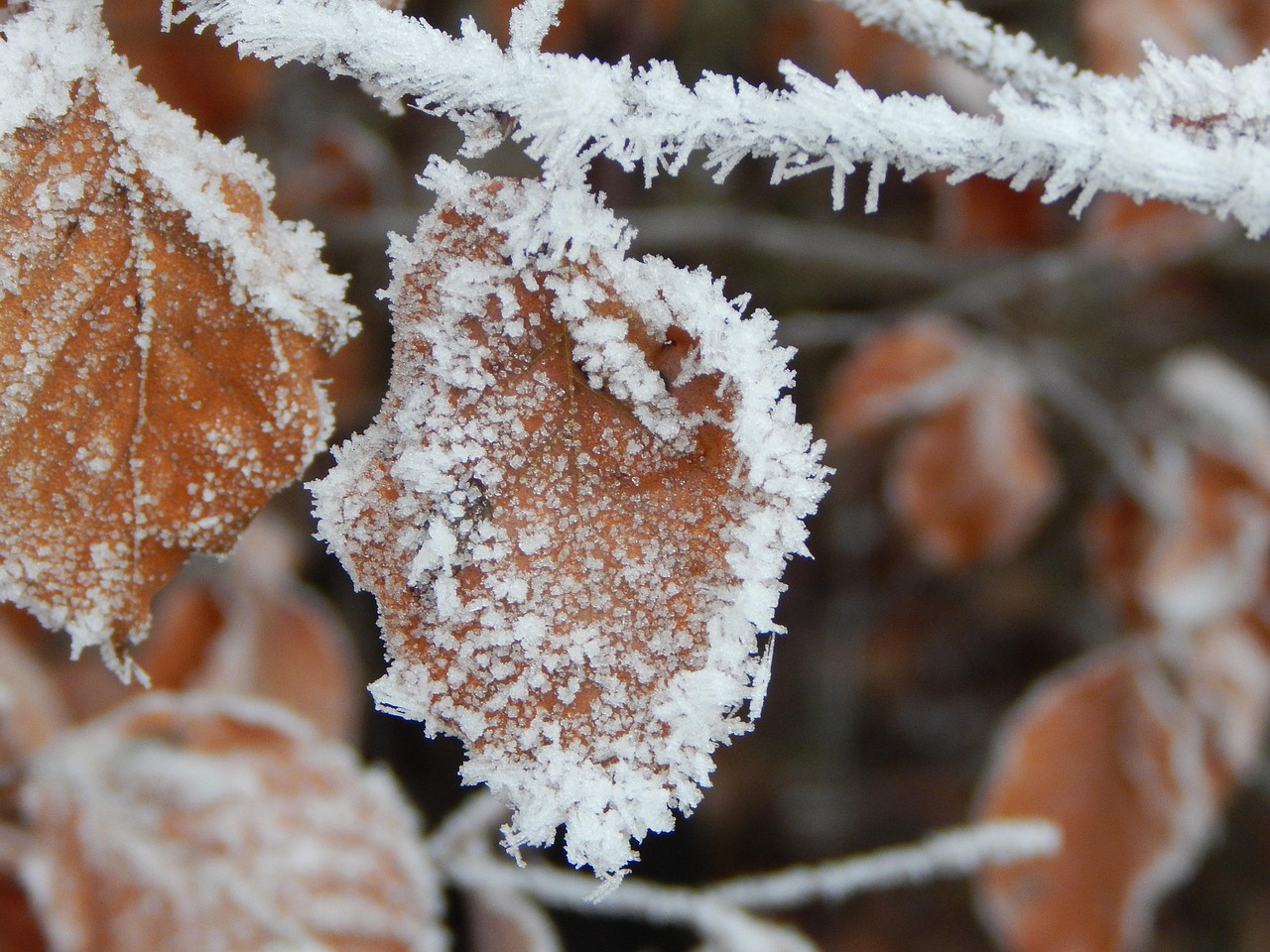 江蘇徐州下雪最新消息，冬日驚喜突然降臨