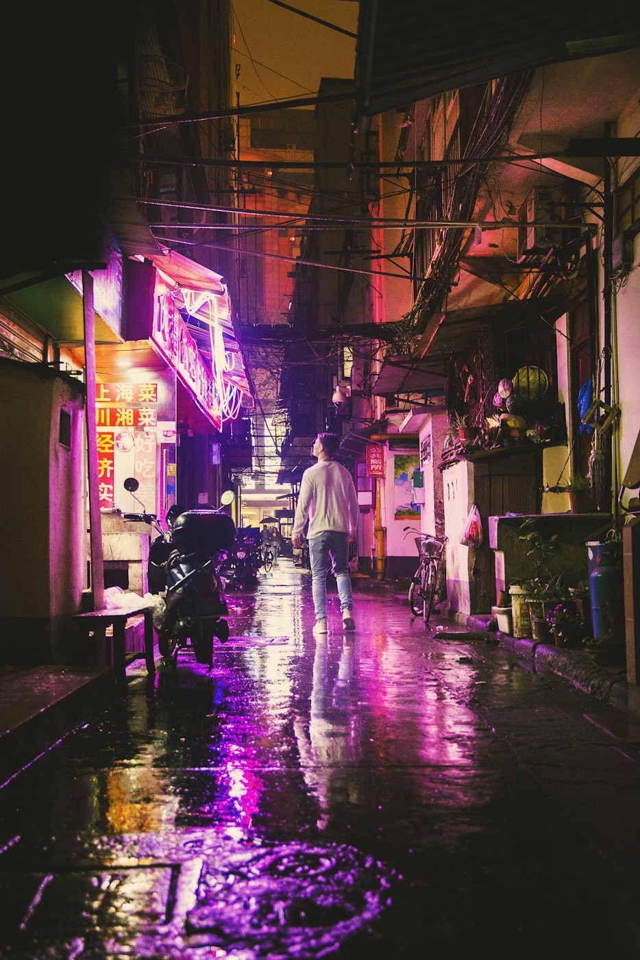 涼風(fēng)慕槿籬